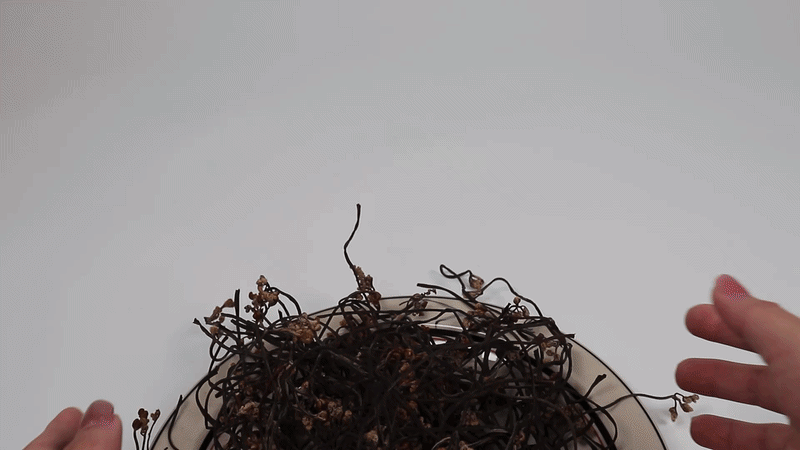 d20260625_3690713127_3YuHv8Mc_3773ca2c3bc418cb350aae1c8a0ede0f5f105f19.gif